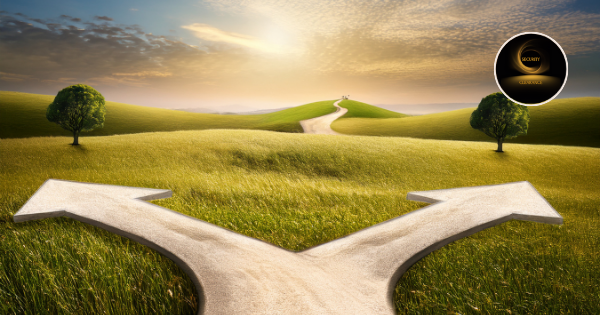 When decisions fail: why it’s not the information, but the method